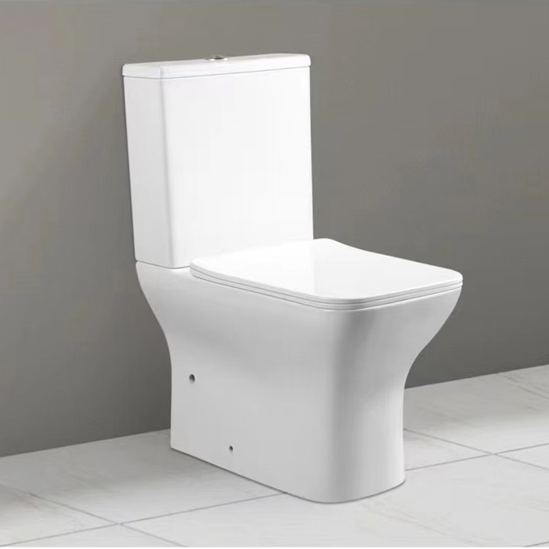 sanitari bagno,sanitari bagno moderni,wc e bidet,sanitari sospesi,sanitari a terra,sanitari filo muro,come scegliere sanitari,migliori sanitari bagno,wc sospeso,wc sospeso prezzi,wc a parete,vaso sospeso,wc filo muro,wc a terra tradizionale,bidet sospeso,bidet a parete,bidet filo muro,bidet a terra,bidet moderno,bidet tradizionale,sanitari bagno prezzi,costo sanitari sospesi,sanitari economici,quanto costa wc sospeso,set sanitari prezzo